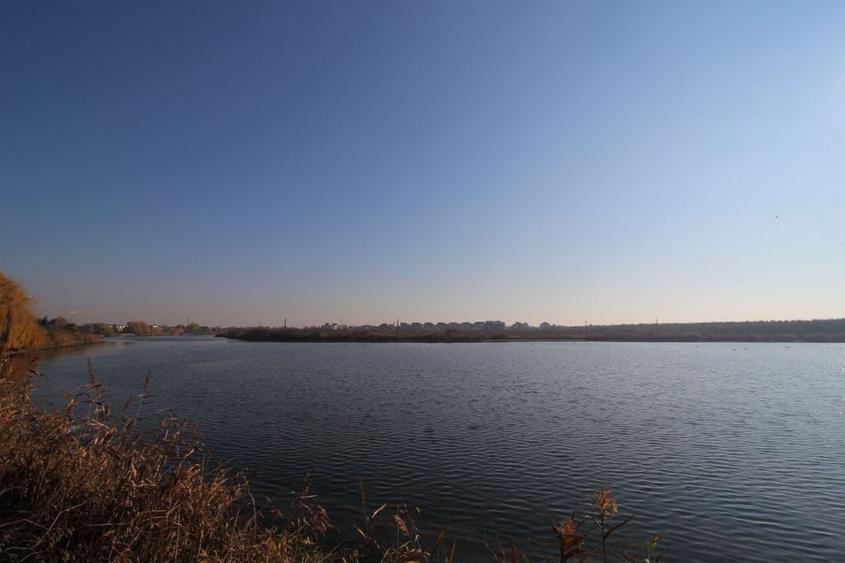 Teren dezvoltare 4763 pe malul Lacului Mogosoaia deschidere 40 metri - 1