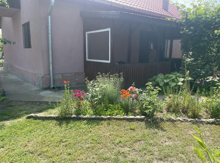 Comuna Marzanesti, sat Valea Parului, str Lalelelor, Teleorman Comuna Marzanesti, sat Valea Parului, str Lalelelor, Teleorman