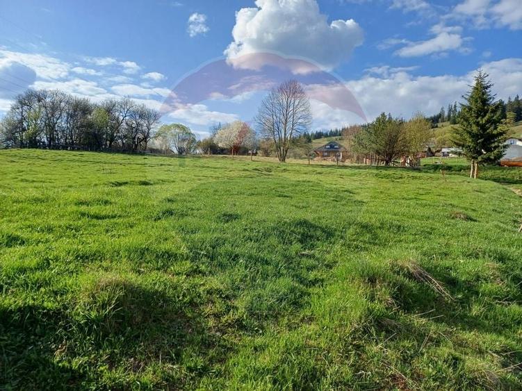 Teren 2,421mp Vatra Dornei / Strada Chilia - 8