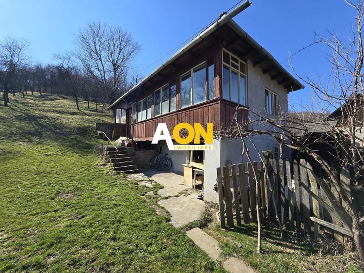 Casa de Vacanta 2 Camere, Strada Morilor Zlatna - 2