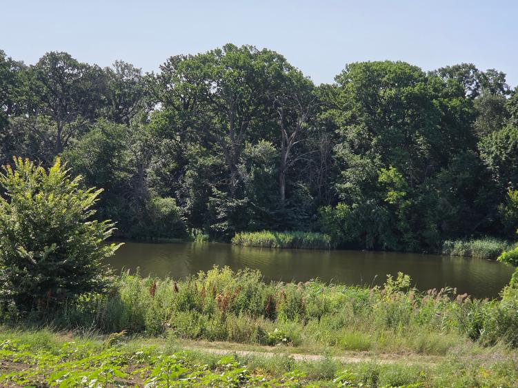 Teren intravilan 17850 mp cu vedere la lac – Balotesti - 3