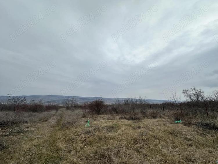 Teren 400MP Zona Cartier, Fosta vie, acces din str Dimitrie Cantemir - 1