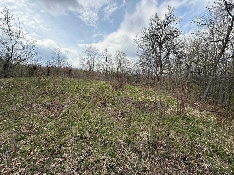 Casa de vanzare cu teren 1949mp in Pietrisu, Poiana Campina, Campina - 2