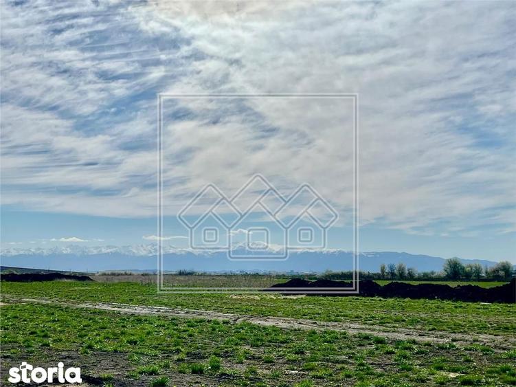 Teren de vanzare - Intravilan, 600 mp, cu utilitati - Sura Mica - 2