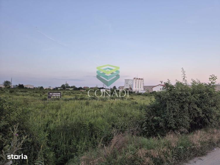 Teren industrial de vanzare in Clinceni 23.943 mp | Langa Centura - 5