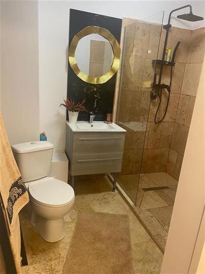 Studio spatios la etaj 1, in zona Astra, Brasov - 14