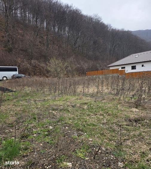Teren intravilan intre case in Bunloc, langa padure 604 mp - 6
