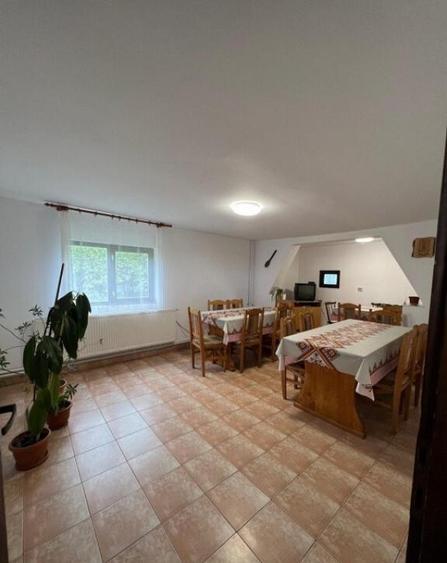 Cabana de 210mp, 2600 mp teren, in Rachitele - 10