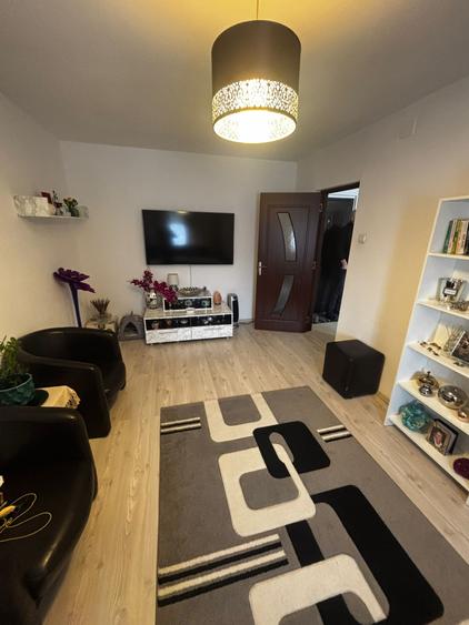 Berceni Oltenitei 2 camere - 3