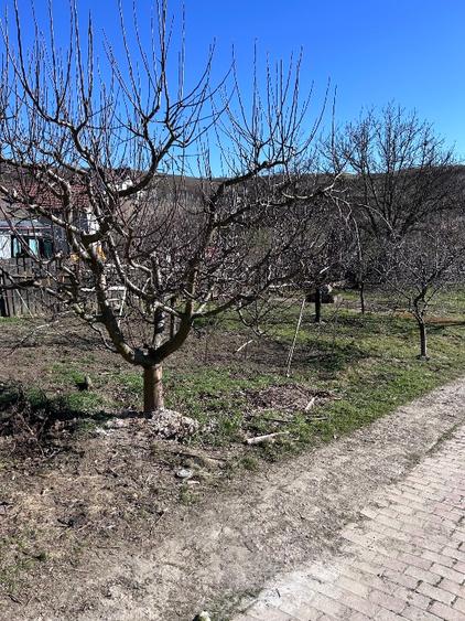 Casă modernă, spațioasă,  ,6400 mp teren. 329.000 € - 10