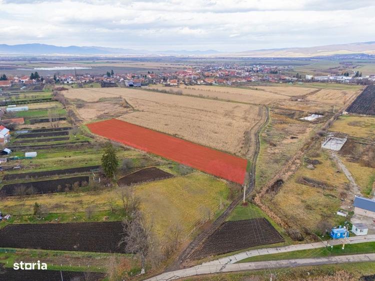 Teren extravilan Bod, 10.000 mp, acces DE 290, zona spre Harman - 2