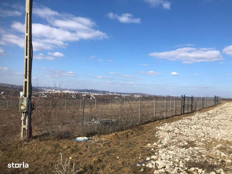 Teren intravilan Bucium 1000 mp, dealul Craitelor - 6