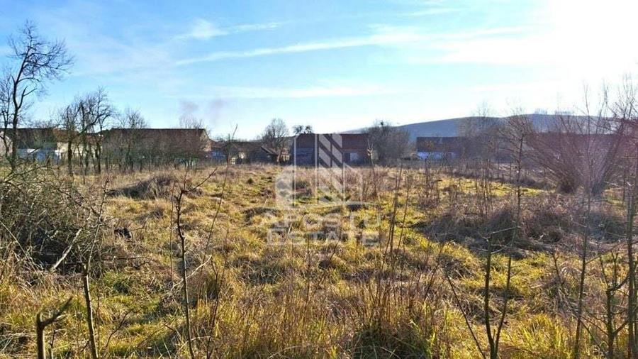 Casa de caramida in Tela si Teren Generos de 4320 mp - 10