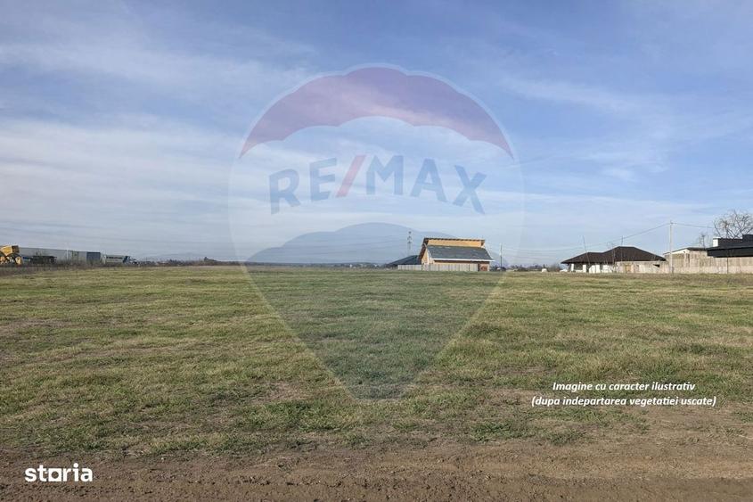 Teren intravilan 7478 mp Bucov, parcelabil, ideal investitie - 6