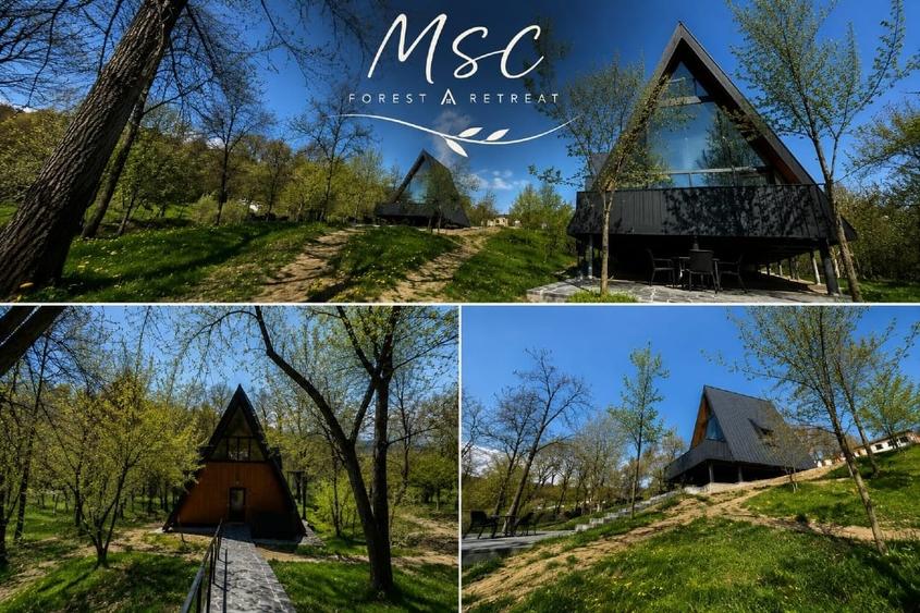 Complex A-Frame – 2 cabane construite + 3 în proiect (AC) -  suprafata 2157 mp - 2