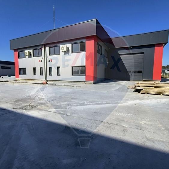 Hale noi de inchiriat Domnesti - putere instalata pana la 600kva - 23