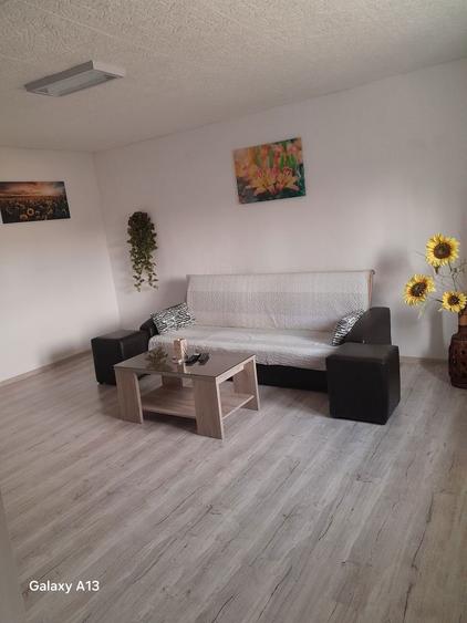 Schimb Casa 0,00 lei utilitati - 8