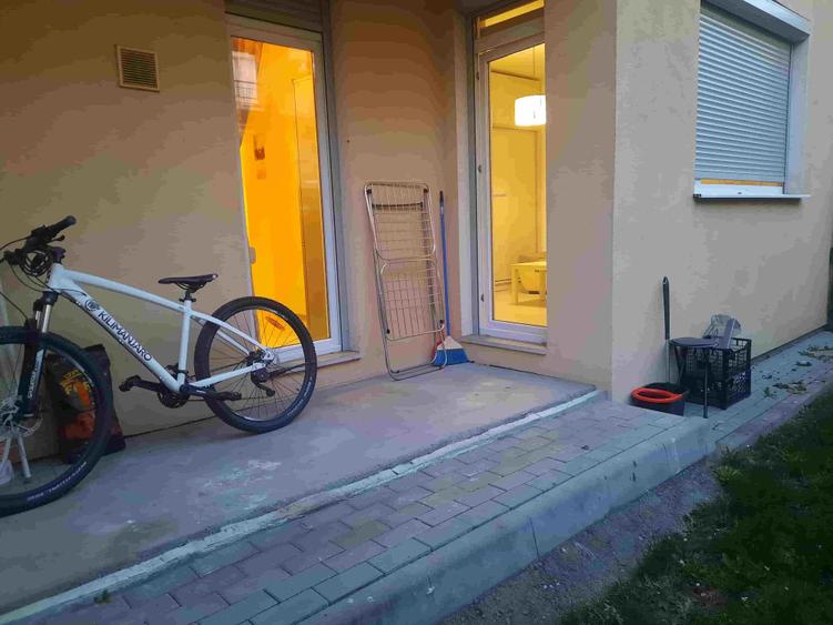 Garsoniera cu gradina proprie, Alma, Turnisor - 5