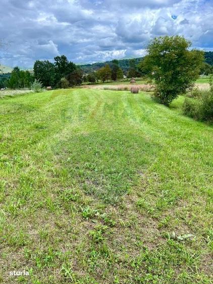 Teren 1,884mp Berbesti / Drumul secundar - 2
