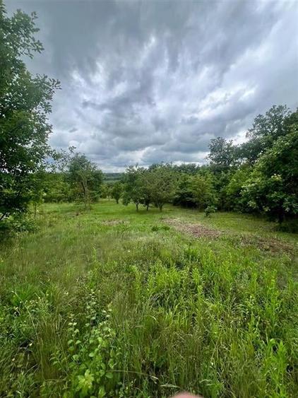 RECO teren de vanzare in zona Betfia - 7