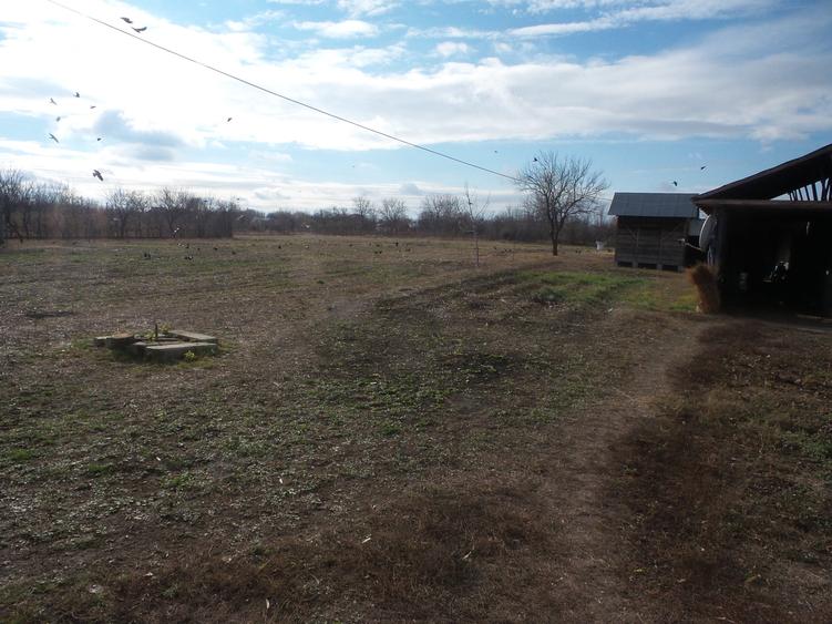 Teren Central Vulturu - 5