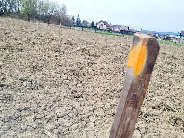 Teren 1.700 mp intravilan, natura, vecinatati bune, potential dublu, Lunca Calni - 17