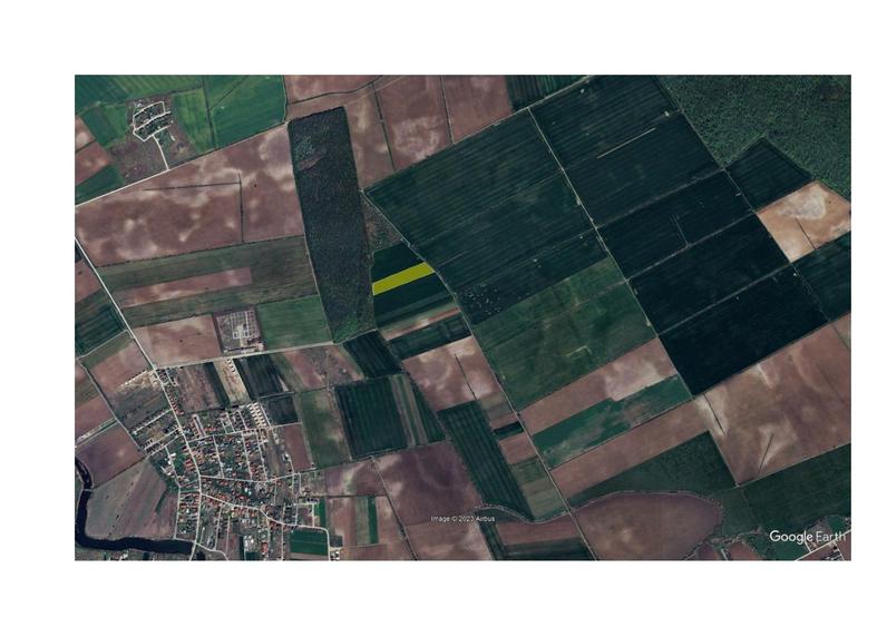 Teren Padurea Oracu - 1