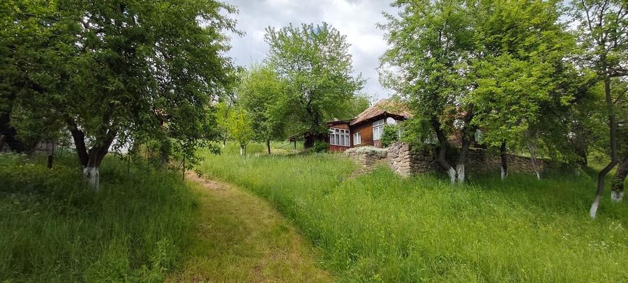 Casă de vânzare în Comuna Gura Teghii, Sat Furtunești  - 1