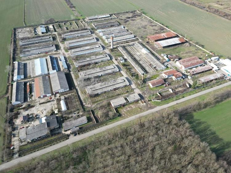 Ansamblu hale 4000mp pe teren 10.000 cu platforma betonata - 9