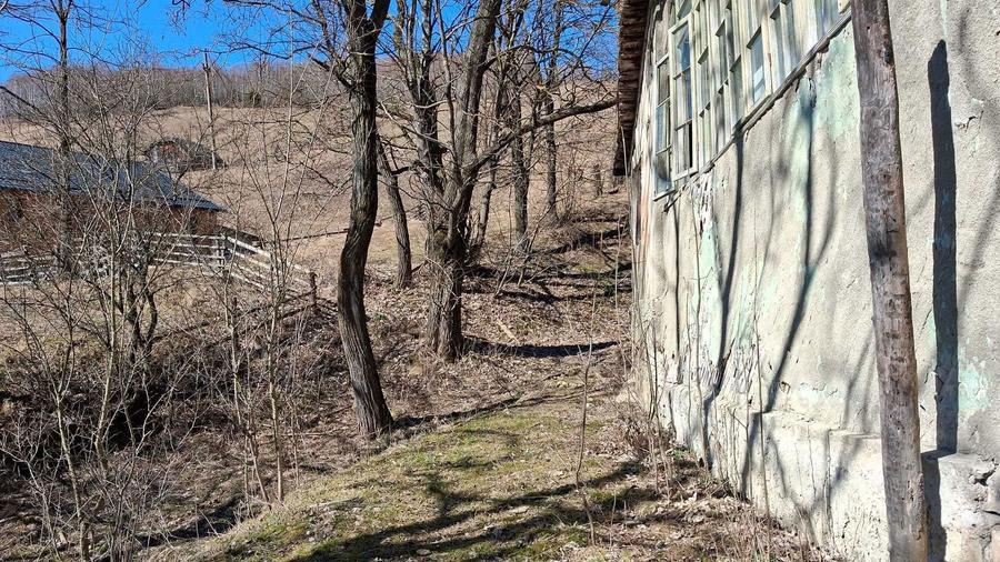 Vand teren dambavocioara 1990 mp - 5