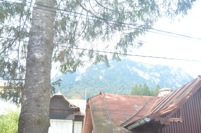 Inchiriere apartament cu trei camere in vila - 10