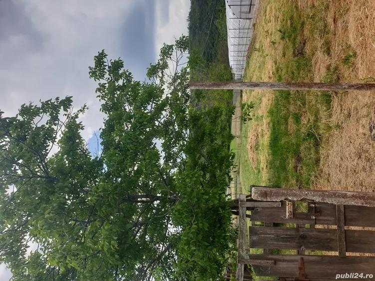 casa vanzare Topliceni, judet Buzau - 8