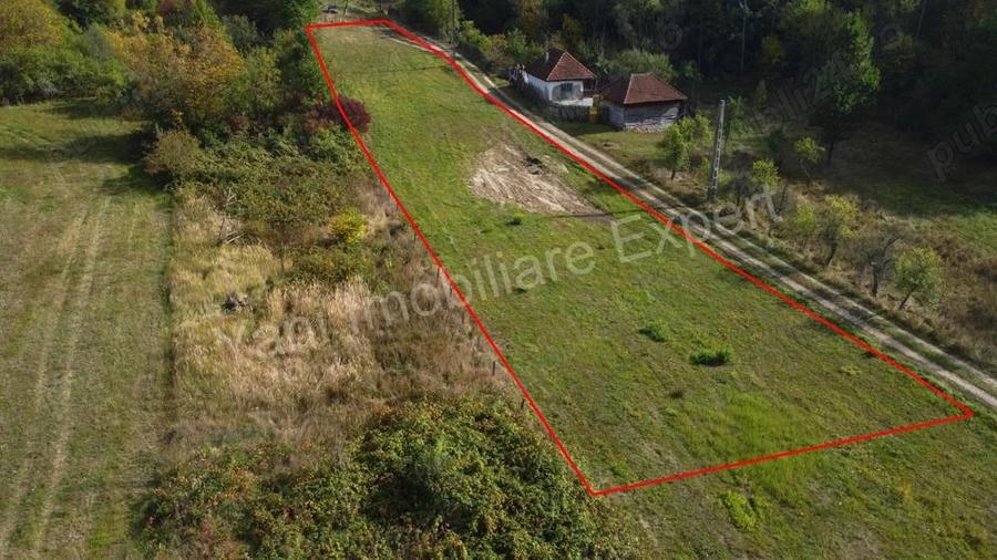 Teren de vanzare in comuna Poienarii de Arge?, sat Ioanice?ti, jude? Arge?. - 4