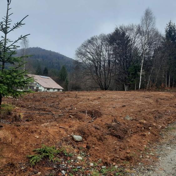 Vand teren 1000 mp (10 ari) Dragus, zona turistica de top - 3