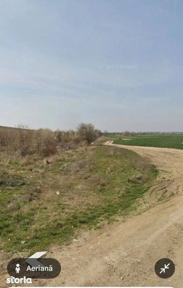 Teren intravilan Cornetu - 4