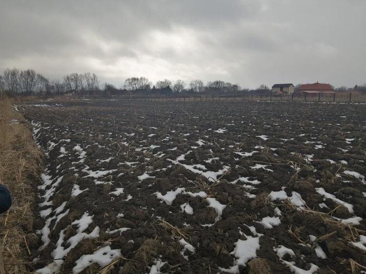 Teren de vanzare - 4