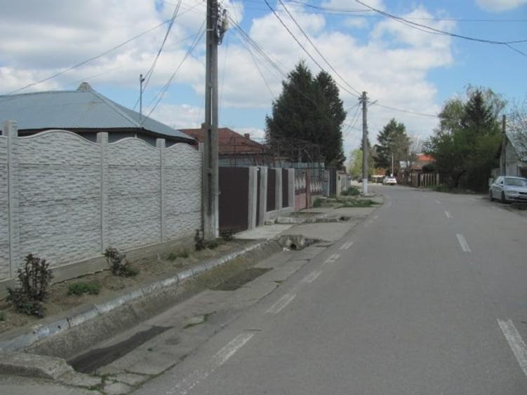 Cornetu - Lalelelor, Stradal - 8