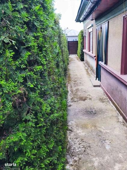 Proprietate mare 2529 mp casa si anexe - 18