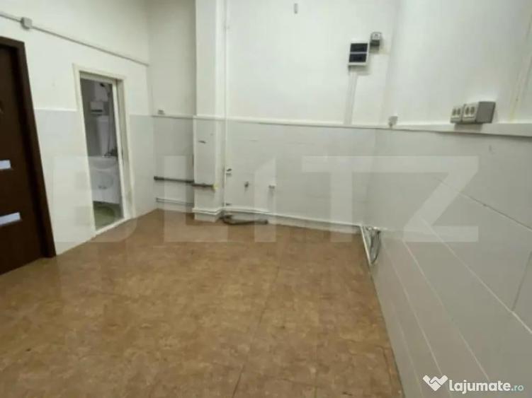 Spatiu comercial de inchiriat, 20 mp, Bulevardul Mihai Vitea - 1