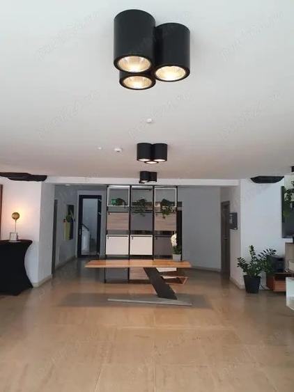 Spatiu comercial de inchiriat in zona Corneliu Coposu, 85mp, 2975euro - 1