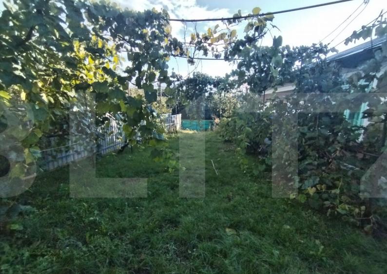 Casa tradi?ionala cu teren generos Brae?ti, Boto?a - 5