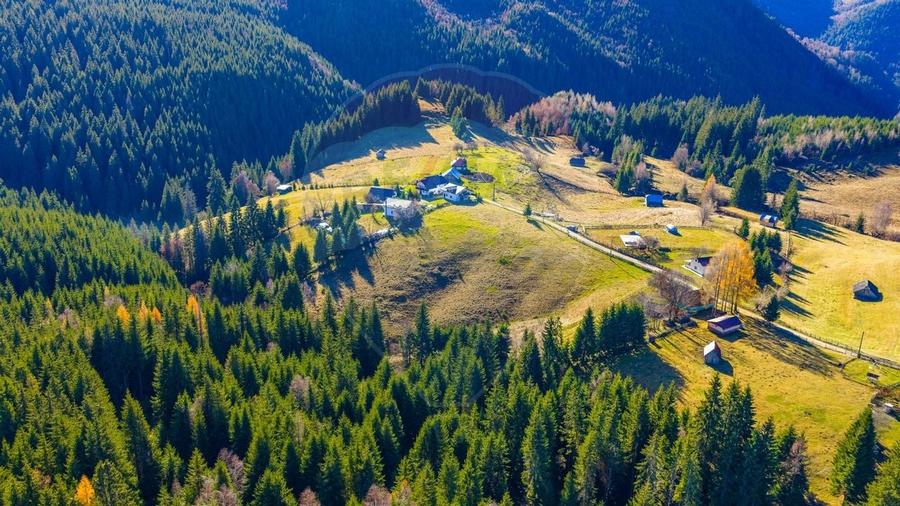 COMISION 0% Teren 13,800mp Fundatica / Intravilan - 10