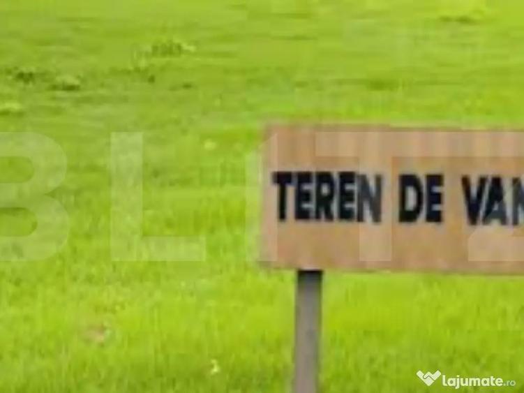 Teren intravilan, 3600mp, Moara Nica - 1