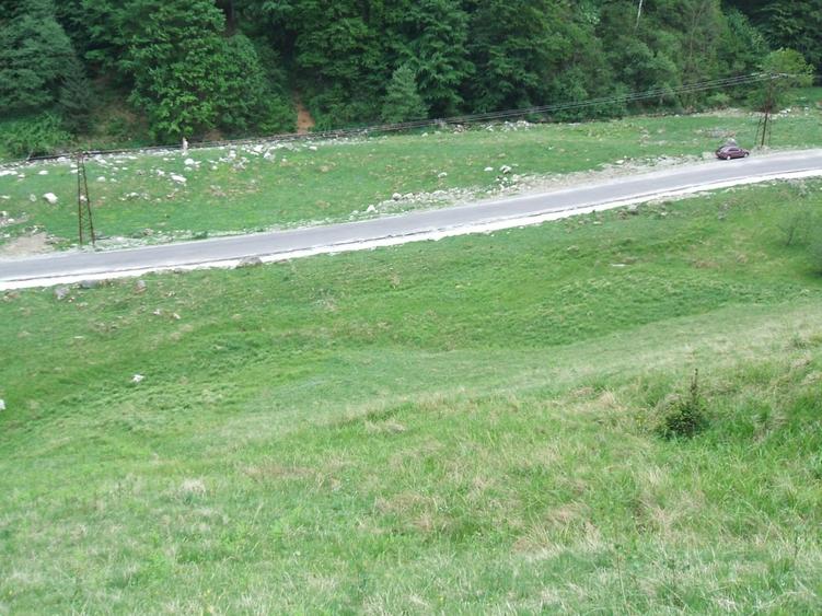 Raul Mare Retezat, spre statiunea de schi Rausor, Judetul Hunedoara - 1