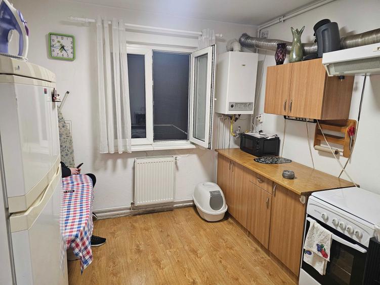 Garsoniera zona Terezian - 4