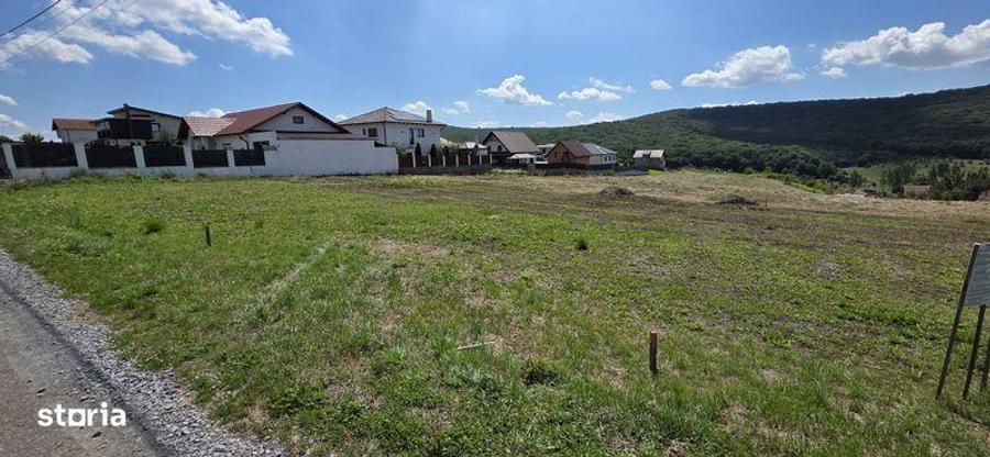 Teren intravilan cu PUZ,constructii,case in Corunca - 5