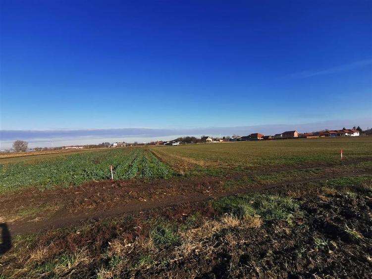 Teren intravilan in Bors cu front la 2 strazi. - 4