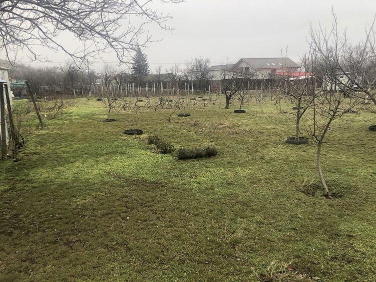 Casa cu teren Greci jud Tulcea - 3