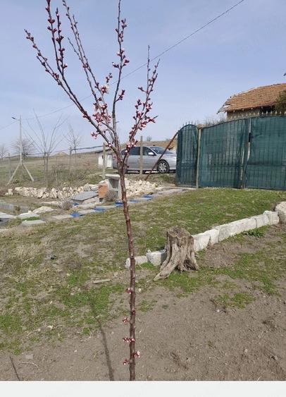 Teren de 808 mp, în Central