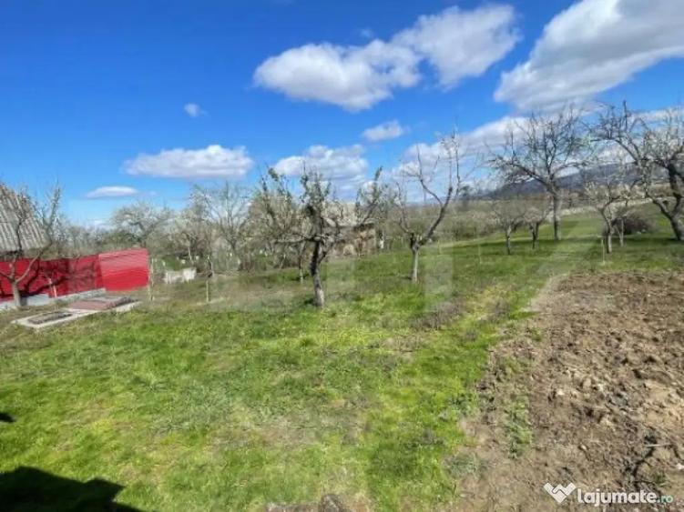 Casa cu 3 camere, 90 mp, 2 anexe gospodaresti si teren de 30 - 7